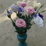 Продажа цветы